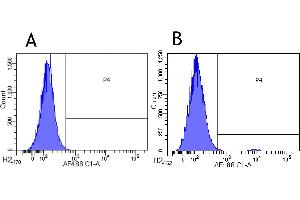 Flow-cytometry using anti-CCR3 antibody 5 E8-G9-B4   Human leukocytes were stained with an isotype control (panel A) or the rabbit-chimeric version of 5 E8-G9-B4 (panel B) at a concentration of 1 µg/ml for 30 mins at RT. (Recombinant CCR3 抗体)