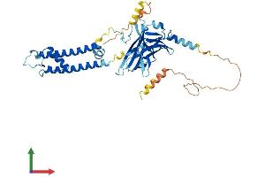 Protein Structure (PS) image for Potassium Inwardly-Rectifying Channel, Subfamily J, Member 16 (KCNJ16) (AA 1-418) protein (His tag) (ABIN7554294)