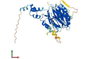 AlphaFold protein structure predicition of Human Recombinant FBXO22 Protein, UniprotID Q8NEZ5