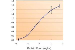 Image no. 3 for anti-Ferritin, Light Polypeptide (FTL) (C-Term), (Light Chain) antibody (ABIN375068) (FTL 抗体  (C-Term, Light Chain))