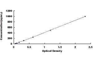 Typical standard curve (INHBE ELISA 试剂盒)