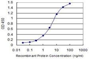 Detection limit for recombinant GST tagged NAPG is 0. (NAPG 抗体  (AA 1-100))