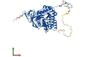 Protein Structure (PS) image for Dihydropyrimidinase-Like 4 (DPYSL4) (AA 1-572) protein (His tag) (ABIN7562265)