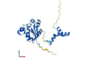 Protein Structure (PS) image for NME/NM23 Family Member 5 (NME5) (AA 1-212) protein (His tag) (ABIN7549709)