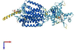 Patched Domain Containing 4 (PTCHD4) (AA 1-846) protein (His tag)