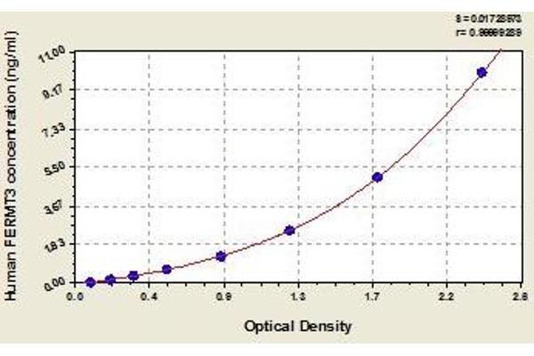 FERMT3 ELISA 试剂盒