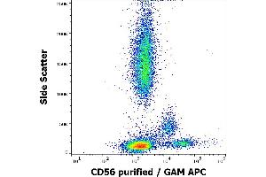 Flow cytometry surface staining pattern of human peripheral whole blood stained using anti-human CD56 (LT56) purified antibody (concentration in sample 2 μg/mL, GAM APC). (CD56 抗体)