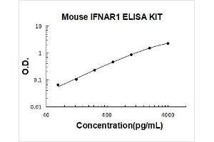Typical Standard Curve