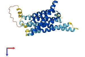 TAS2R9 Protein (AA 1-312) (His tag)