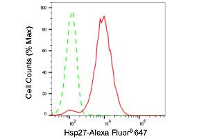 Flow cytometric analysis of Hsp27 expression in HepG2 cells using Hsp27 antibody (ABIN7798845), 1:2,000). (Recombinant HSP27 抗体)