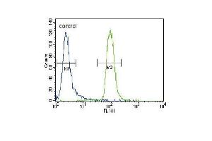 MUSK Antibody (C-term) (ABIN392020 and ABIN2841796) flow cytometric analysis of CEM cells (right histogram) compared to a negative control cell (left histogram).