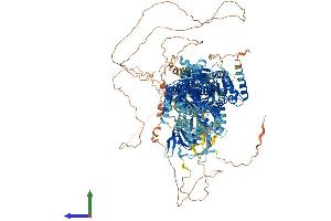 Protein Structure (PS) image for ATPase, Class V, Type 10A (ATP10A) (AA 1-1499) protein (His tag) (ABIN7552395)