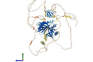 AlphaFold protein structure predicition of Human Recombinant APBB2 Protein, UniprotID Q92870