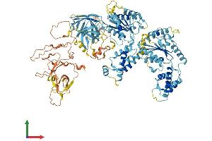 Protein Structure (PS) image for Peroxisomal Biogenesis Factor 6 (PEX6) (AA 1-981) protein (His tag) (ABIN7564891)
