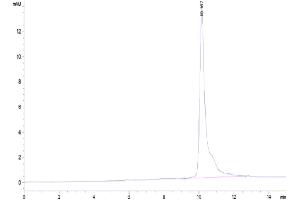 Interleukin 8 (IL8) (AA 28-99) protein (His tag)