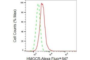 Flow cytometric analysis of HMGCR expression in HepG2 cells using HMGCR antibody (ABIN7797417), 1:2,000). (Recombinant HMGCR 抗体)