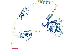 Protein Structure (PS) image for Zinc Finger, AN1-Type Domain 1 (ZFAND1) (AA 1-268) protein (His tag) (ABIN7545726)