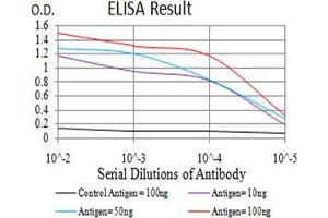 ELISA image for anti-Keratin 10 (KRT10) (AA 345-454) antibody (ABIN5542470)