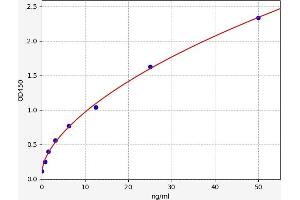 Typical standard curve (Septin 5 ELISA 试剂盒)