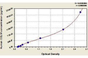 ELISA image for Collagen, Type VI, alpha 1 (COL6A1) ELISA Kit (ABIN6975468)