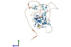 Protein Structure (PS) image for CCCTC-Binding Factor (Zinc Finger Protein)-Like (CTCFL) (AA 1-636) protein (His tag) (ABIN7561942)