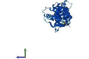 Protein Structure (PS) image for Calcium Binding Protein 39 (CAB39) (AA 1-341) protein (His tag) (ABIN7556902)