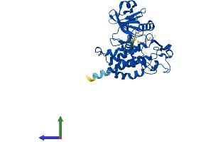 Protein Structure (PS) image for Protein Kinase Protein SgK196 (SGK196) (AA 1-350) protein (His tag) (ABIN7555501)