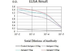 Black line: Control Antigen (100 ng),Purple line: Antigen (10 ng), Blue line: Antigen (50 ng), Red line:Antigen (100 ng) (CD147 抗体  (AA 138-323))