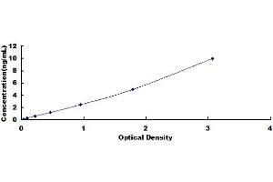 Typical standard curve (CD137 ELISA 试剂盒)