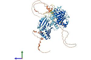 AlphaFold protein structure predicition of Human Recombinant DDX18 Protein, UniprotID Q9NVP1