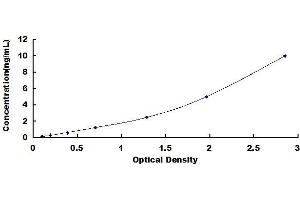 Typical standard curve (Integrin beta 5 ELISA 试剂盒)