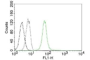 Flow Cytometry of human Vimentin on Jurkat cells. (Vimentin 抗体)