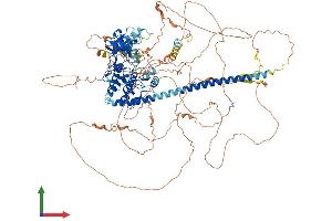 Protein Structure (PS) image for Mitogen-Activated Protein Kinase Kinase Kinase 9 (MAP3K9) (AA 1-1077) protein (His tag) (ABIN7563697)