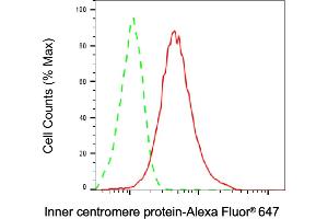 Flow cytometric analysis of Inner centromere protein expression in HAP-1 cells using Inner centromere protein antibody (ABIN7799038), 1:2,000). (Recombinant INCENP 抗体)