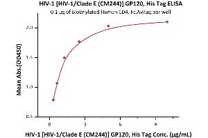 Immobilized Biotinylated Human CD4, Fc Tag (ABIN5674591,ABIN6253696) at 1 μg/mL (100 μL/well) can bind HIV-1 [HIV-1/Clade E (CM244)] GP120, His Tag (3) with a linear range of 0. (Human Immunodeficiency Virus Surface Glycoprotein (HIV gp120) (AA 36-511) protein (His tag))