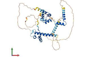 Protein Structure (PS) image for Homeobox Containing 1 (HMBOX1) (AA 1-419) protein (His tag) (ABIN7558697)