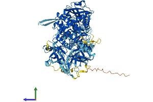 Protein Structure (PS) image for Exosome Complex Exonuclease RRP44 (DIS3) (AA 1-958) protein (His tag) (ABIN7564944)