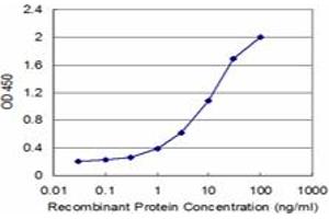 ELISA image for anti-Solute Carrier Family 7 (Amino Acid Transporter Light Chain, Y+L System), Member 7 (Slc7a7) (AA 462-511) antibody (ABIN522496)