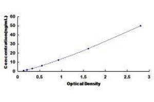 Typical standard curve (GAD ELISA 试剂盒)