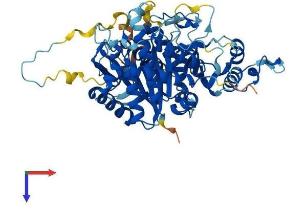 MSTO1 Protein (AA 1-556) (His tag)