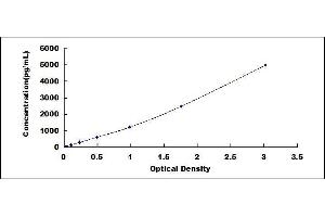 Mucin 5AC, Oligomeric Mucus/gel-Forming (MUC5AC) ELISA Kit