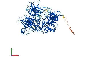 AlphaFold protein structure predicition of Mouse Recombinant Dpp9 Protein, UniprotID Q8BVG4