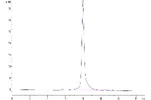 Size-exclusion chromatography-High Pressure Liquid Chromatography (SEC-HPLC) image for Interferon alpha (IFNA) (AA 27-429) protein (His-Avi Tag) (ABIN7274853)