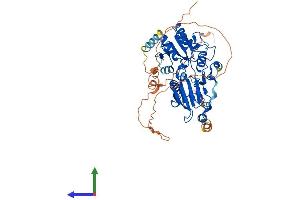 AlphaFold protein structure predicition of Mouse Recombinant Dclre1b Protein, UniprotID Q8C7W7