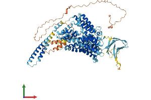 Protein Structure (PS) image for P Protein (OCA2) (AA 1-833) protein (His tag) (ABIN7563938)