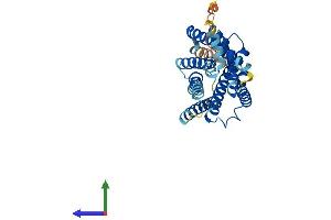AlphaFold protein structure predicition of Mouse Recombinant Gpr17 Protein, UniprotID Q6NS65