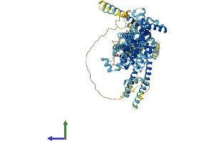 Protein Structure (PS) image for Transient Receptor Potential Cation Channel, Subfamily C, Member 1 (TRPC1) (AA 1-793) protein (His tag) (ABIN7555853)