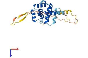 AlphaFold protein structure predicition of Human Recombinant SPDYE7P Protein, UniprotID Q495Y7
