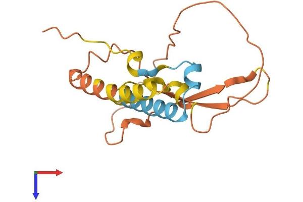 KRAB Box Domain Containing 4 (KRBOX4) (AA 1-171) protein (His tag)