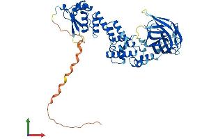 Protein Structure (PS) image for BTB (POZ) Domain Containing 1 (BTBD1) (AA 1-488) protein (His tag) (ABIN7556523)